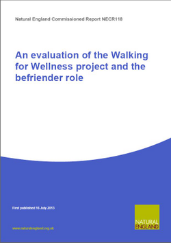 Walking for Wellness